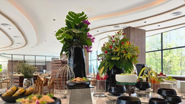 Buffet ben organitzat amb diferents plats, una planta gran en test i un disseny d'interior modern.