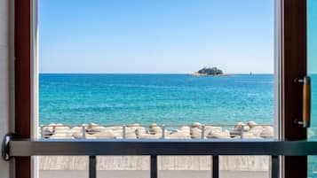Basic Room, 1 Bedroom (Room 202 Pension(Ocean View/BBQ)) | 1 bedroom, free WiFi