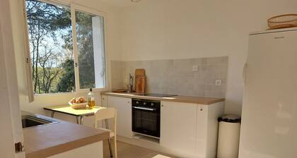 Domaine isolé dans les vignes avec jacuzzi