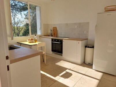 Secluded vineyard with jacuzzi