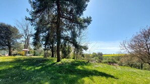 A grassy outdoor area with trees and a clear sky. - Secluded vineyard with jacuzzi (Beaulieu-sur-Loire)