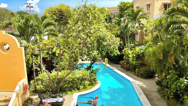A swimming pool surrounded by lush greenery and palm trees, with a clear blue sky above. - by Calamari Homes - Edificio Centenario (Cartagena)