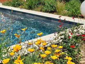 A swimming pool with clear water, surrounded by vibrant yellow flowers and red foliage.