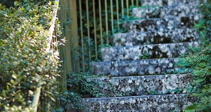 Ferme Saint-Georges en Provence