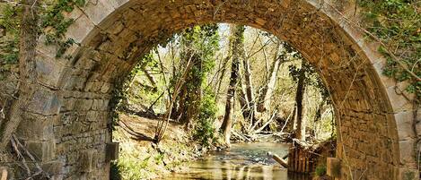 Un puente de piedra en arco sobre un río tranquilo, rodeado de abundante vegetación y árboles.