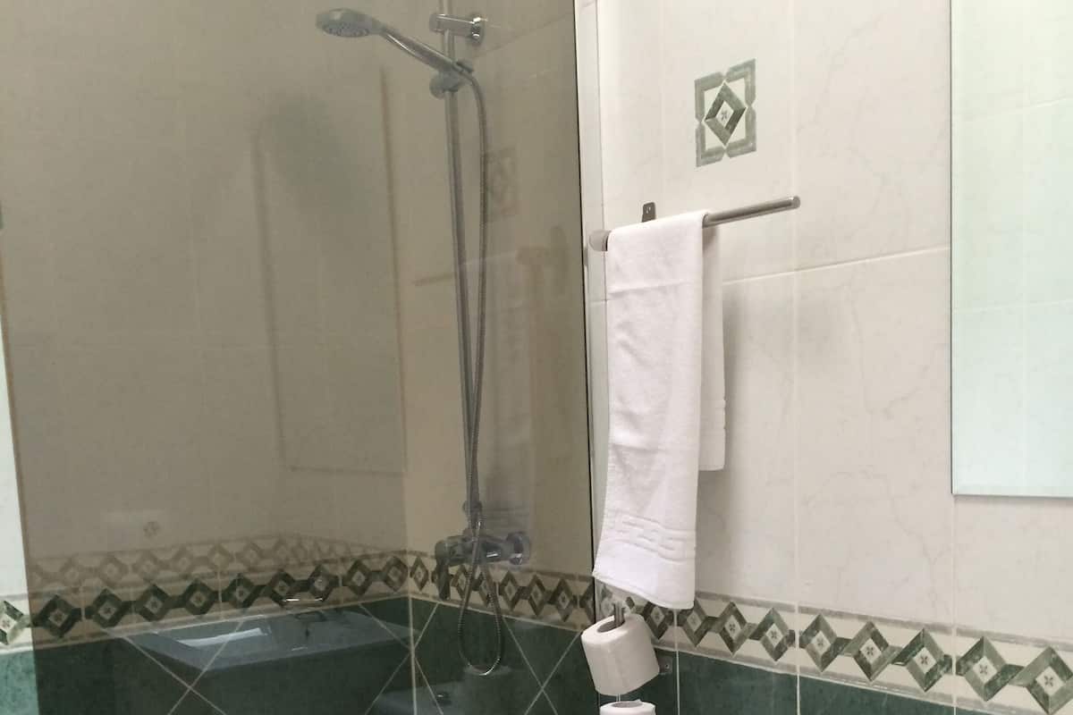 Regadera, toallas, jabón, shampoo