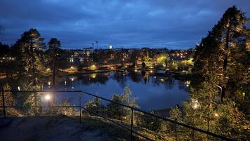 Apartment, 1 Bedroom, Balcony | Miscellaneous