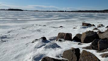 Apartment, 1 Bedroom, Balcony | Miscellaneous