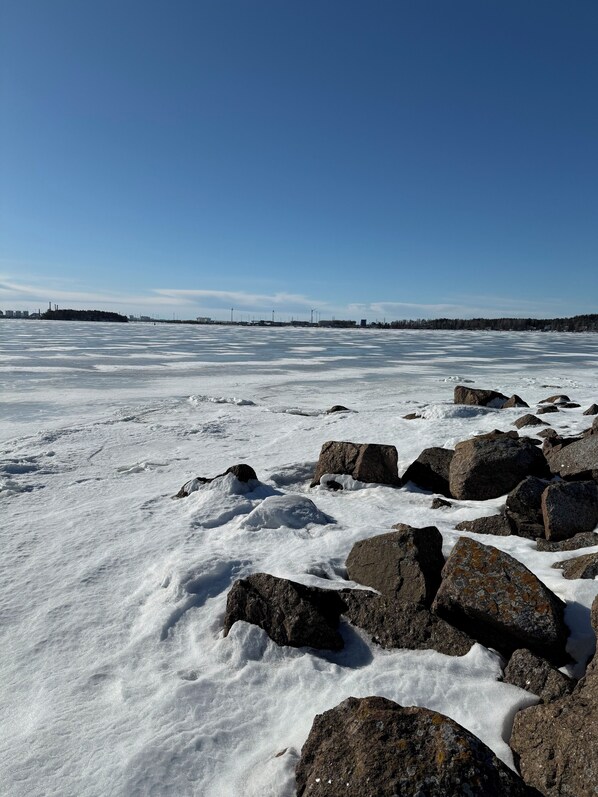 Apartamento, 1 habitación, balcón | Miscelánea