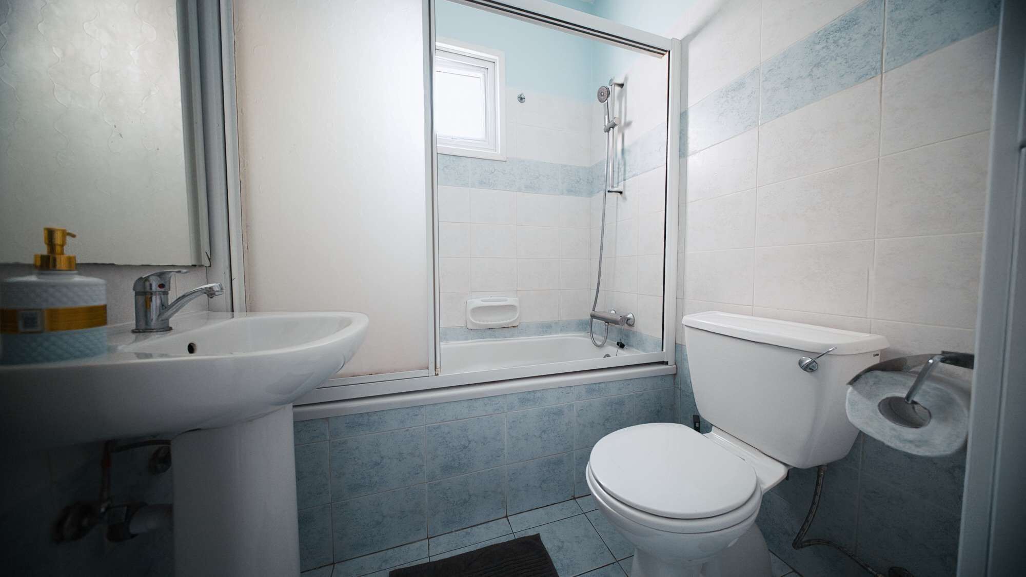 Une salle de bain avec un lavabo, des toilettes et une douche.