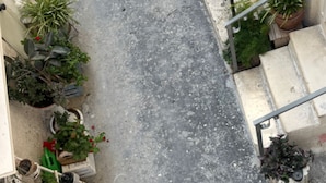 Eine schmale Straße mit Kübelpflanzen an beiden Seiten, einer Metalltreppe und einem Betonboden.
