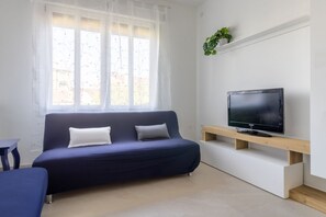 Flat-screen TV