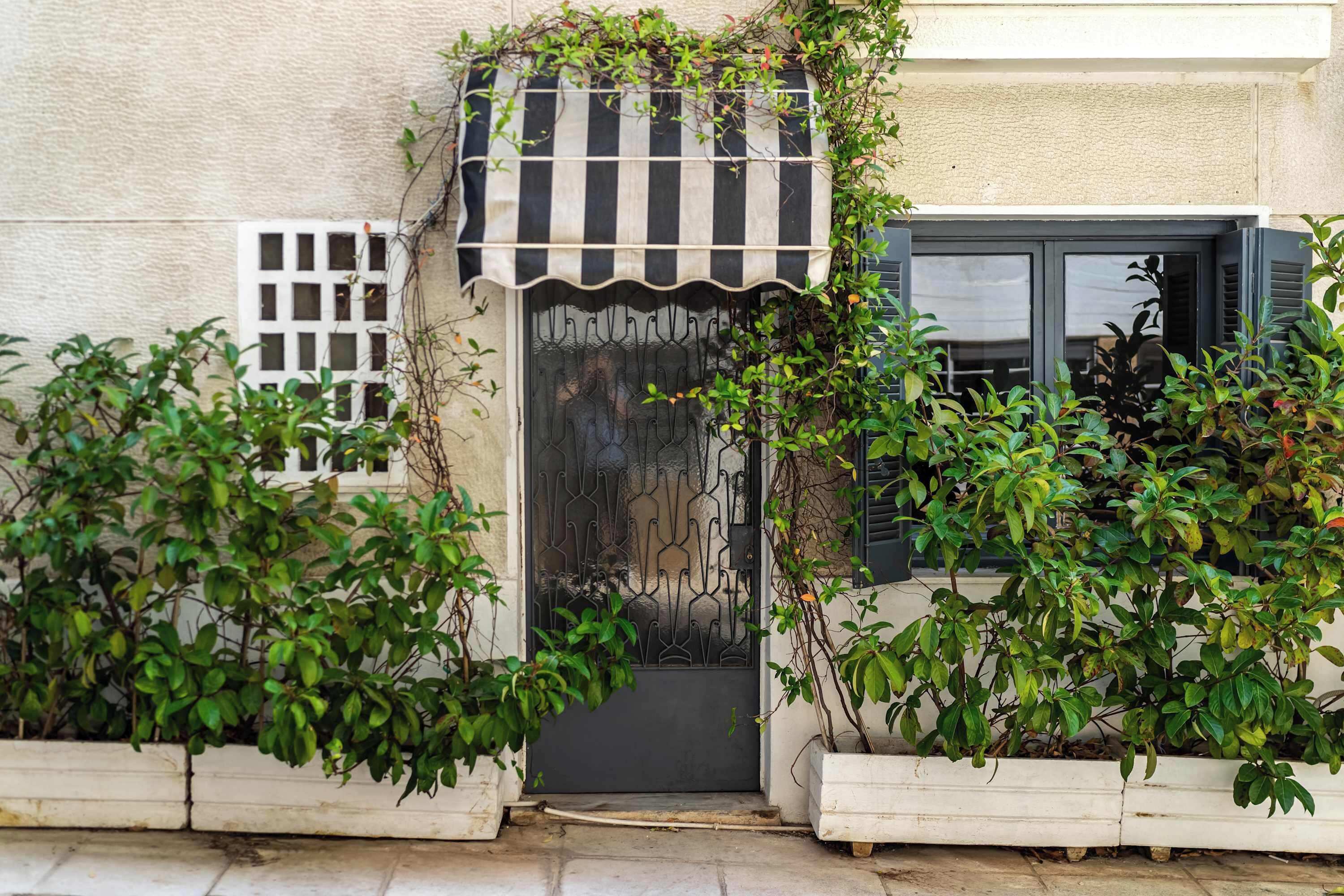 A building entrance with a black and white striped awning, a metal gate, and potted plants on either side.