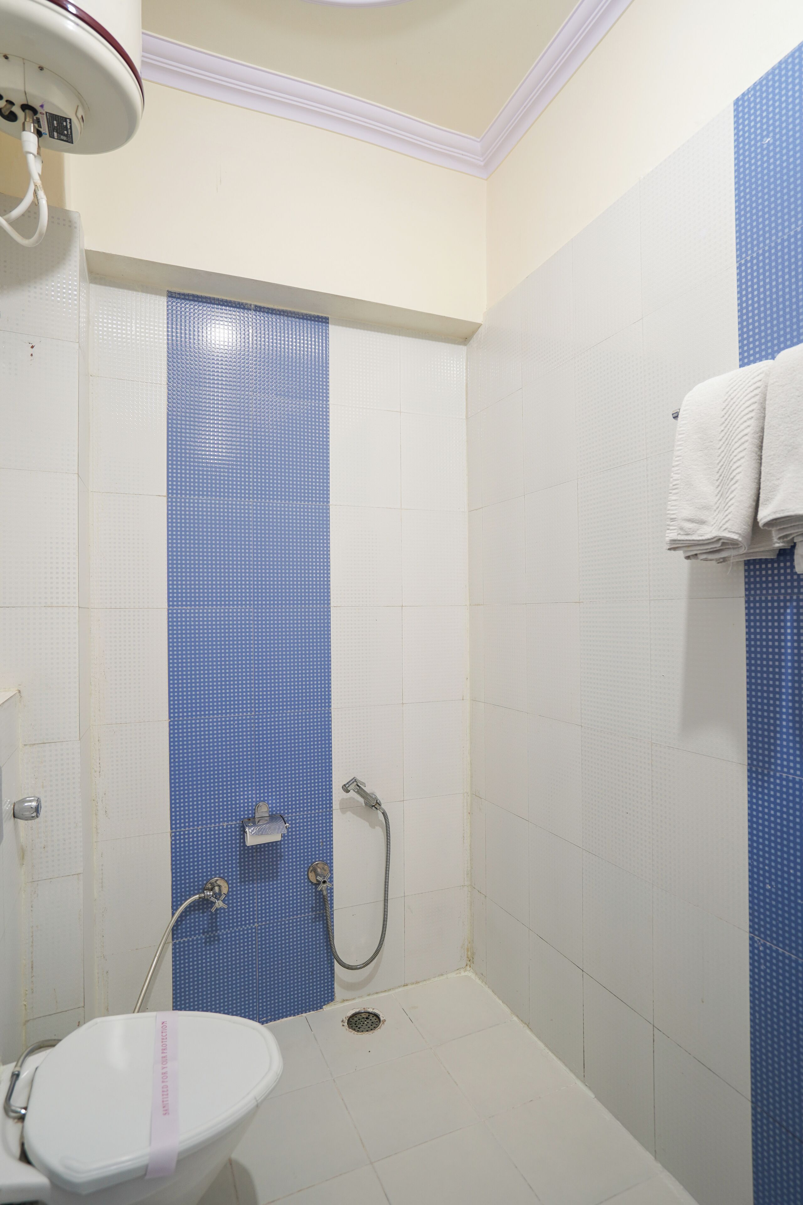 A bathroom with a white toilet, a blue shower wall, and a white sink.