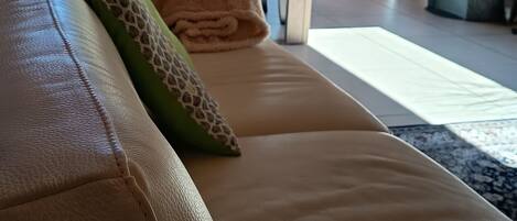 Smart TV, fireplace, DVD player, books