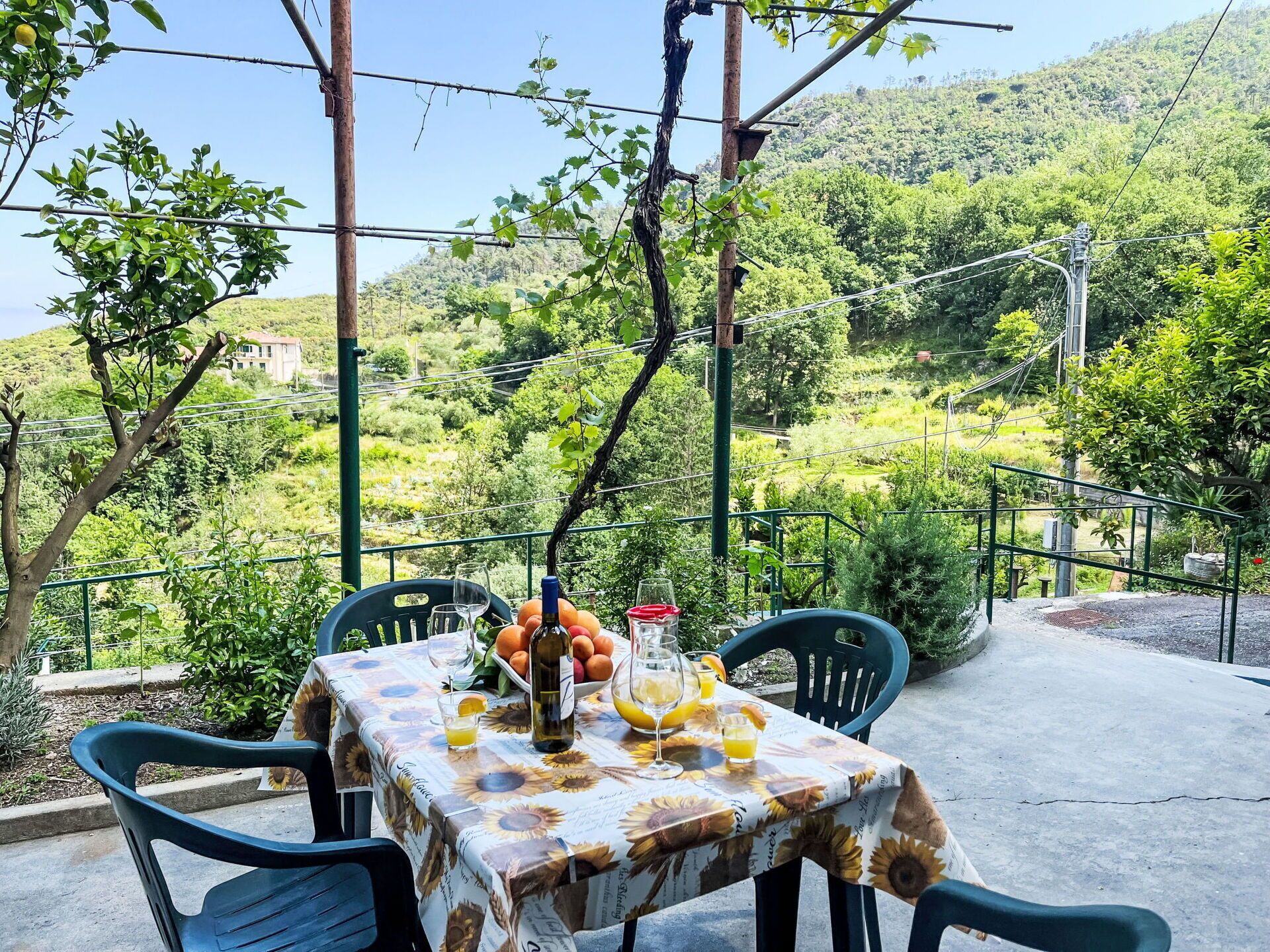 Een terras met eettafel gedekt voor twee personen, omringd door groen en uitzicht op een glooiend landschap.