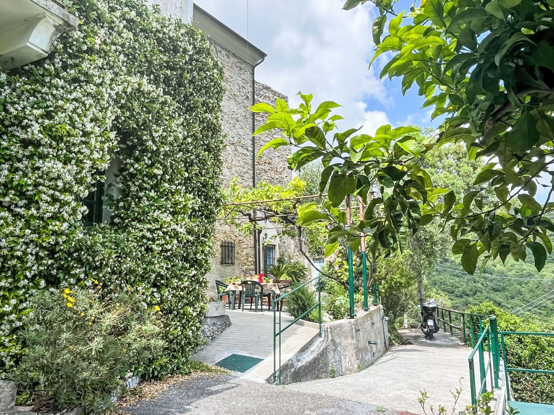 Mur, Arbuste, Printemps, Mur De Pierre
