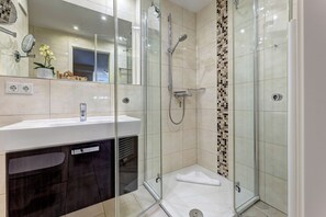 Shower, hair dryer, towels