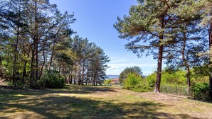 A forested area with a clear path leading to a distant house. - House Berlin, apartment Loddiner Höft in Loddin - in the best location near the Achterwasser (Loddin)