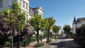 Rua com edifícios brancos, árvores com flores roxas e céu azul claro.