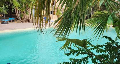 Luxury villa with infinity pool & spa 5 min from downtown Nîmes