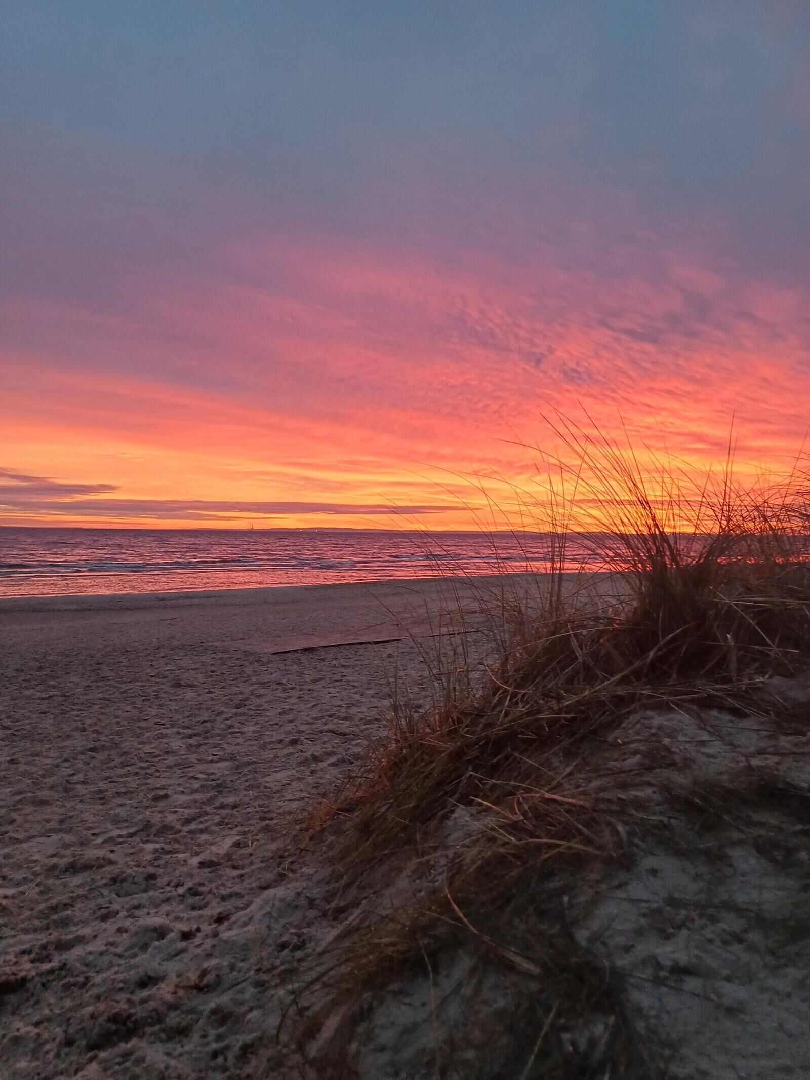 Una spiaggia con sabbia e vegetazione rada, un mare calmo e un cielo al tramonto.