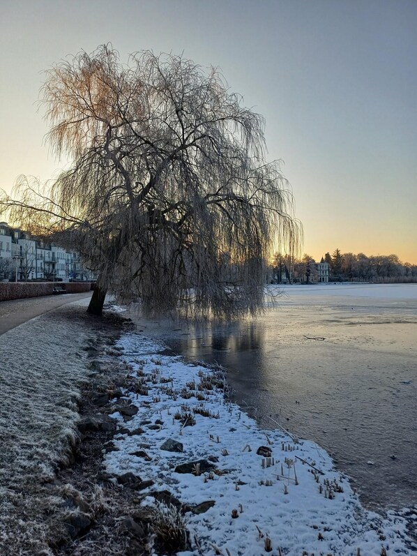 Escena invernal con un río helado, terreno cubierto de nieve y un árbol en primer plano.