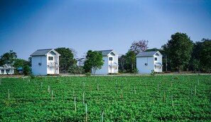Exterior - Naoat Resort Farm & Cafe (Mae Taeng)