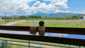 A view from a balcony with a cactus and a tissue box, overlooking a rural landscape with mountains and a dirt road. - Naoat Resort Farm & Cafe (Mae Taeng)