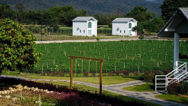 A vineyard with two white buildings, a swing set, and a covered area with stairs. - Naoat Resort Farm & Cafe (Mae Taeng)