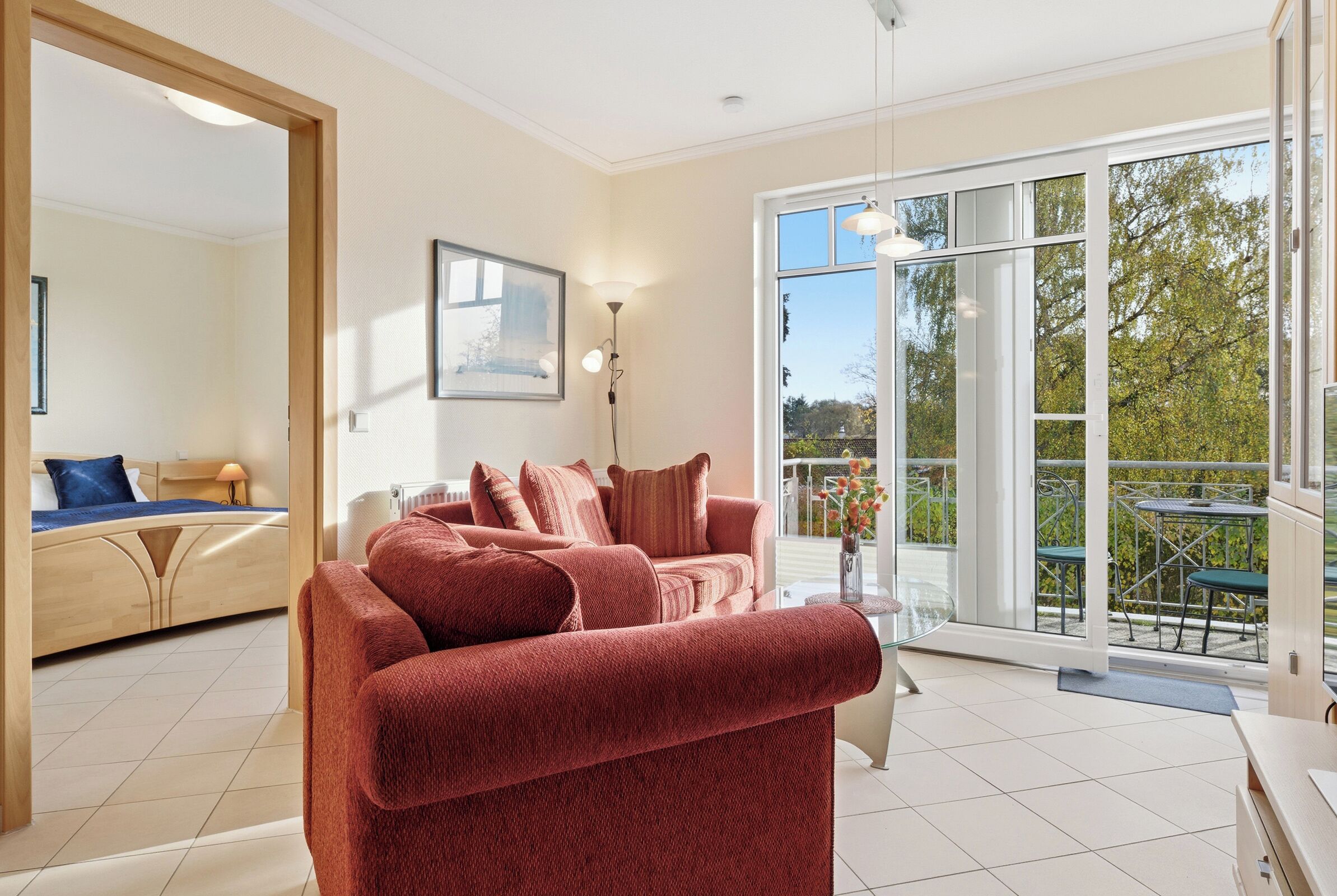 TV, lettore DVD, impianto stereo