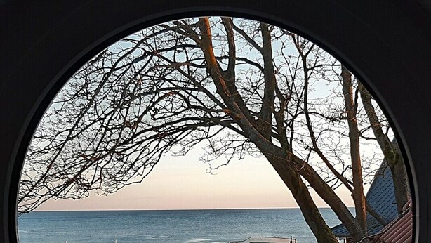 Una figurita de pájaro en el alféizar de una ventana, con vista a una playa y un muelle.