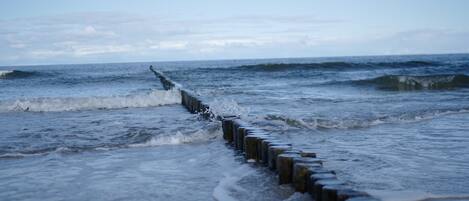 A wooden sea defense structure along a beach.