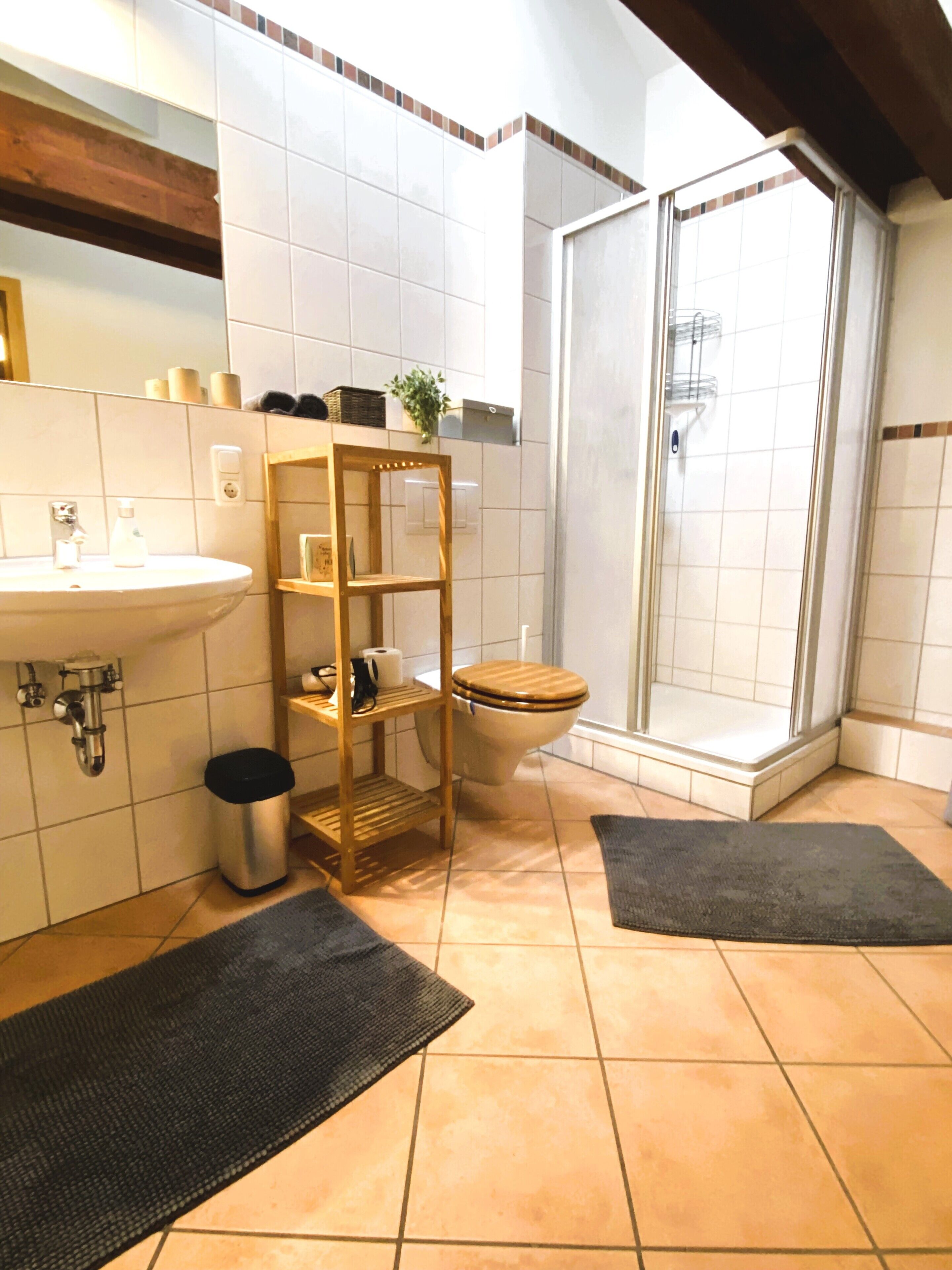 Dusche, Haartrockner