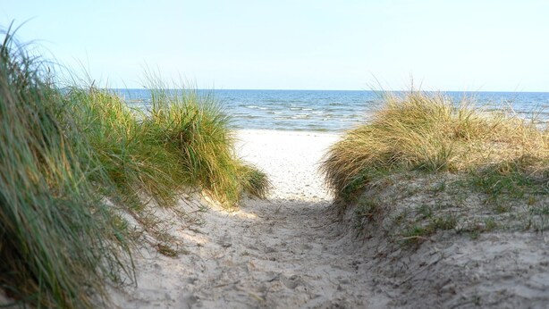 A sandy beach path leading to the sea, surrounded by grass.