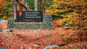 Property grounds - Peaceful 3BR*Firepit*Games*8 Mins to National Park (Cosby)