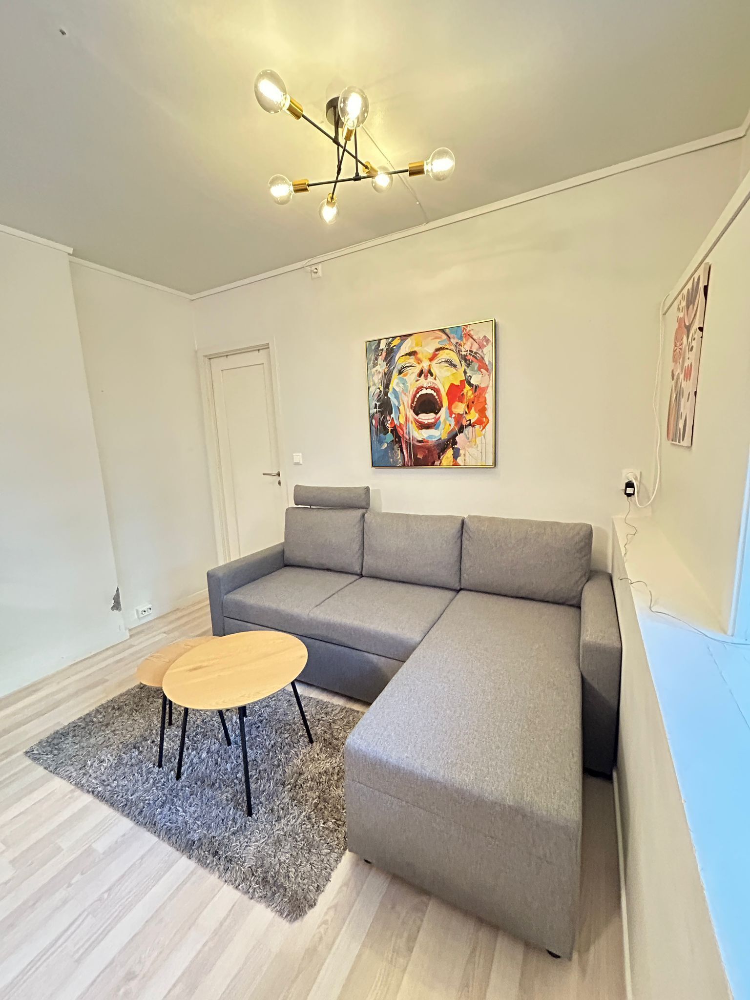 Deluxe Apartment | Living area