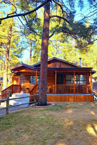 National Forrest! ~Cozy Mountain Cabin Getaway!