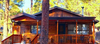 National Forrest! ~Cozy Mountain Cabin Getaway!