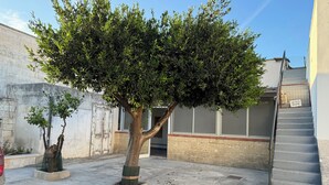 Un albero in un cortile con pavimento in cemento e una scala.