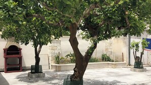 Un cortile con alberi piantati in basi di cemento quadrate, un muro di pietra sullo sfondo e uno sgabello rosso a sinistra.