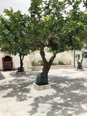 Property grounds - 72020 Tuturano Guest House (Tuturano)