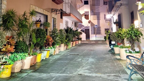 Una calle estrecha flanqueada por edificios, con macetas alineando las aceras y un banco a la derecha.