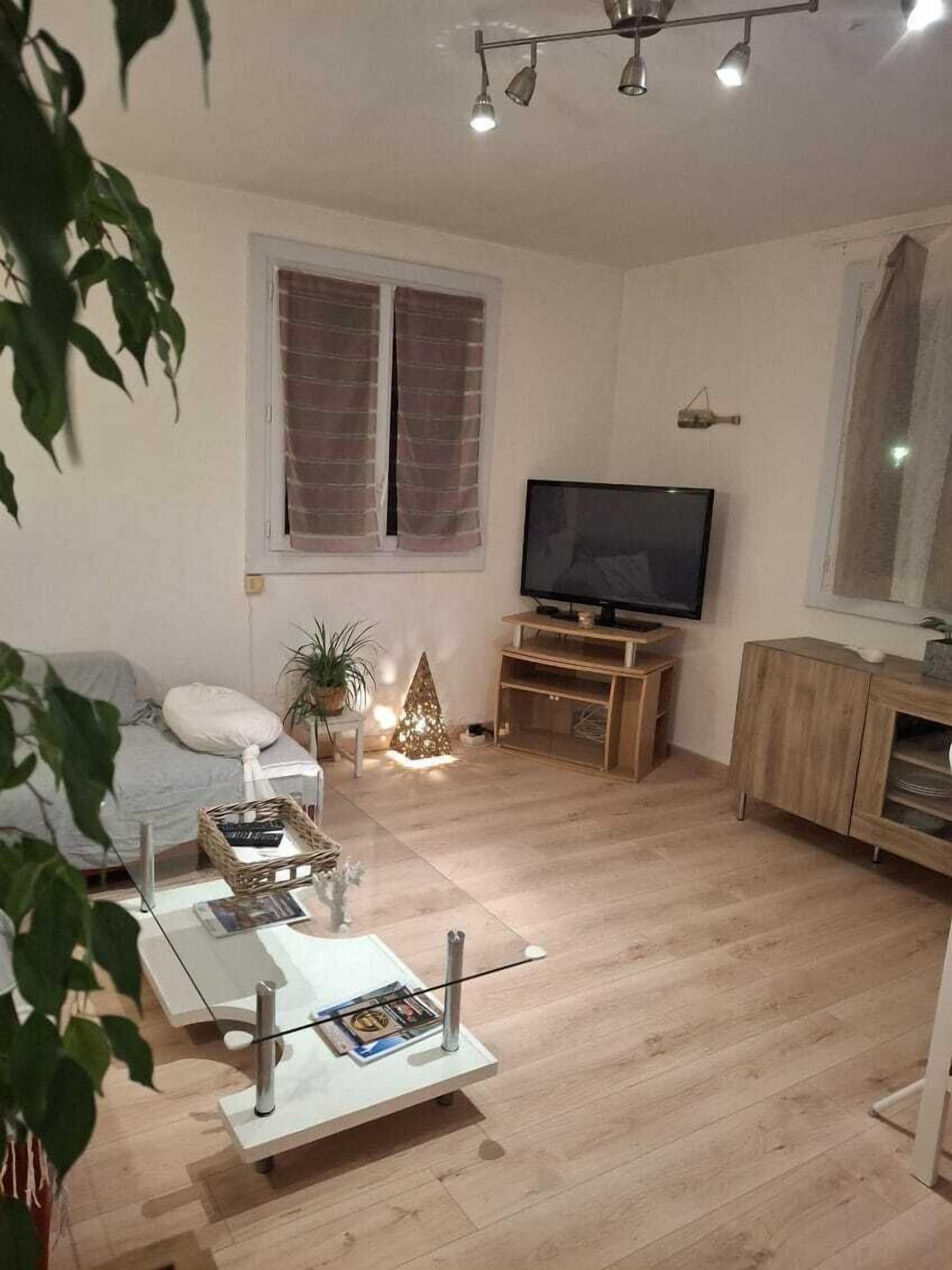 Un salon avec un téléviseur, des meubles en bois, une table basse en verre et une plante en pot.