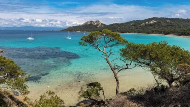 A coastal landscape with clear turquoise waters, a sandy beach, and a prominent tree in the foreground. - Charming T3 villa near the sea (Le Pradet)