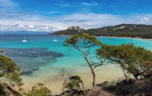 A coastal landscape with clear turquoise waters, a sandy beach, and a prominent tree in the foreground. - Charming 3-bedroom villa near the ocean (Le Pradet)