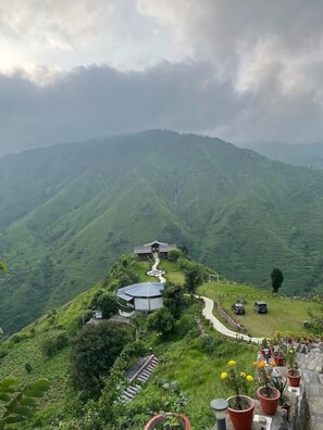 Terrace/patio - Kafal Village Wood House (Dhanaulti)