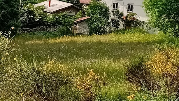 Ein ländliches Haus mit rotem Dach, umgeben von dichtem Grünwald.