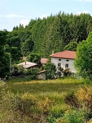 Een landhuis met een rood dak, omgeven door een dicht groen bos.
