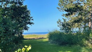 A grassy path leading to a beach with dense trees on either side. - Seaside holiday home (Grenaa)